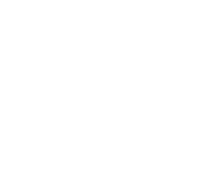 flashmove icon