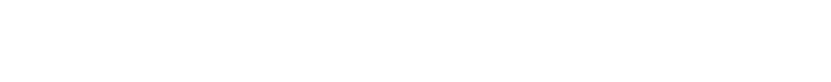 flashmove logo