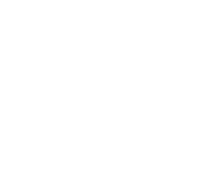 vgl logo 004